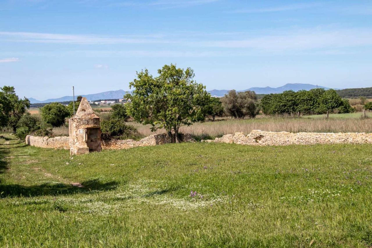 Ocells De Montgri Apartamento Rural En El Emporda Sobrestany Εξωτερικό φωτογραφία
